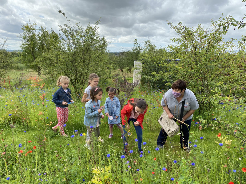 Animations Famille/Jeune Public
