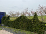 Les Jardins Fruitiers de Laquenexy - Atelier Adulte