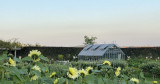 jjf-jardin-durable-179
