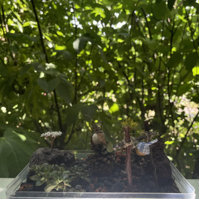 ajp-mini-jardin830-209