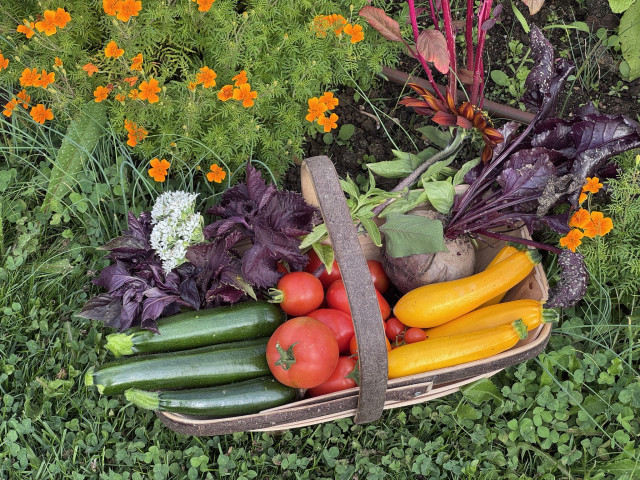 Les Jardins Fruitiers de Laquenexy - Stage Adulte - © CD57 Les Jardins Fruitiers de Laquenexy - Stage Adulte