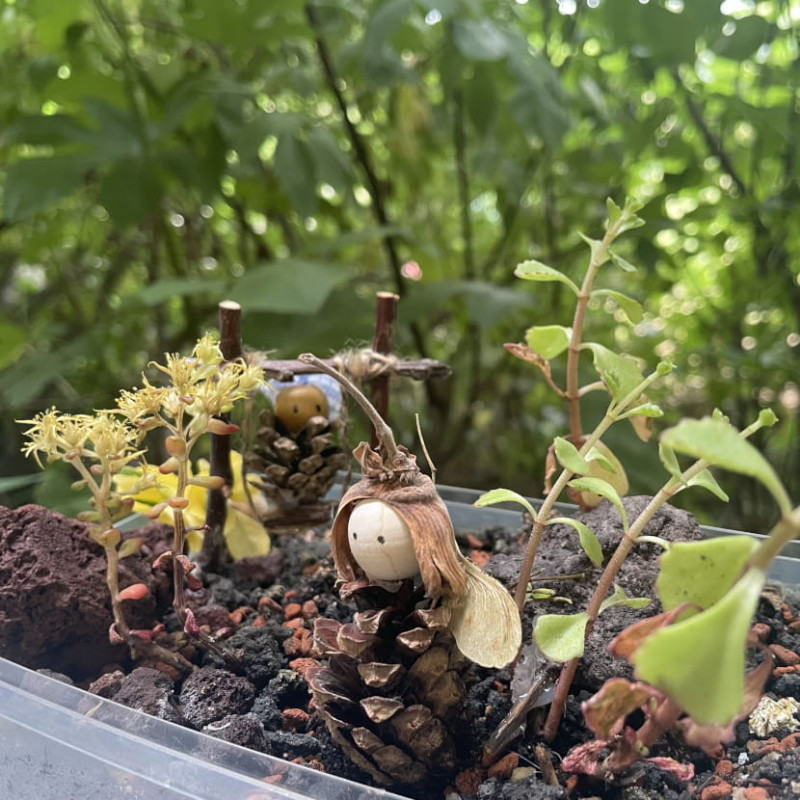 ajp-mini-jardin830-227