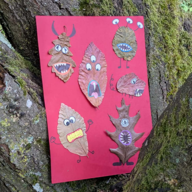 ajp-monstre-feuille830-267 ajp-monstre-feuille830-267