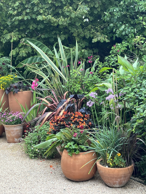 Les Jardins Fruitiers de Laquenexy - Atelier Adulte - © CD57 Les Jardins Fruitiers de Laquenexy - Atelier Adulte